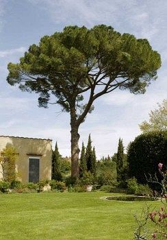 Villa Malavolta Scandicci Eksteriør bilde